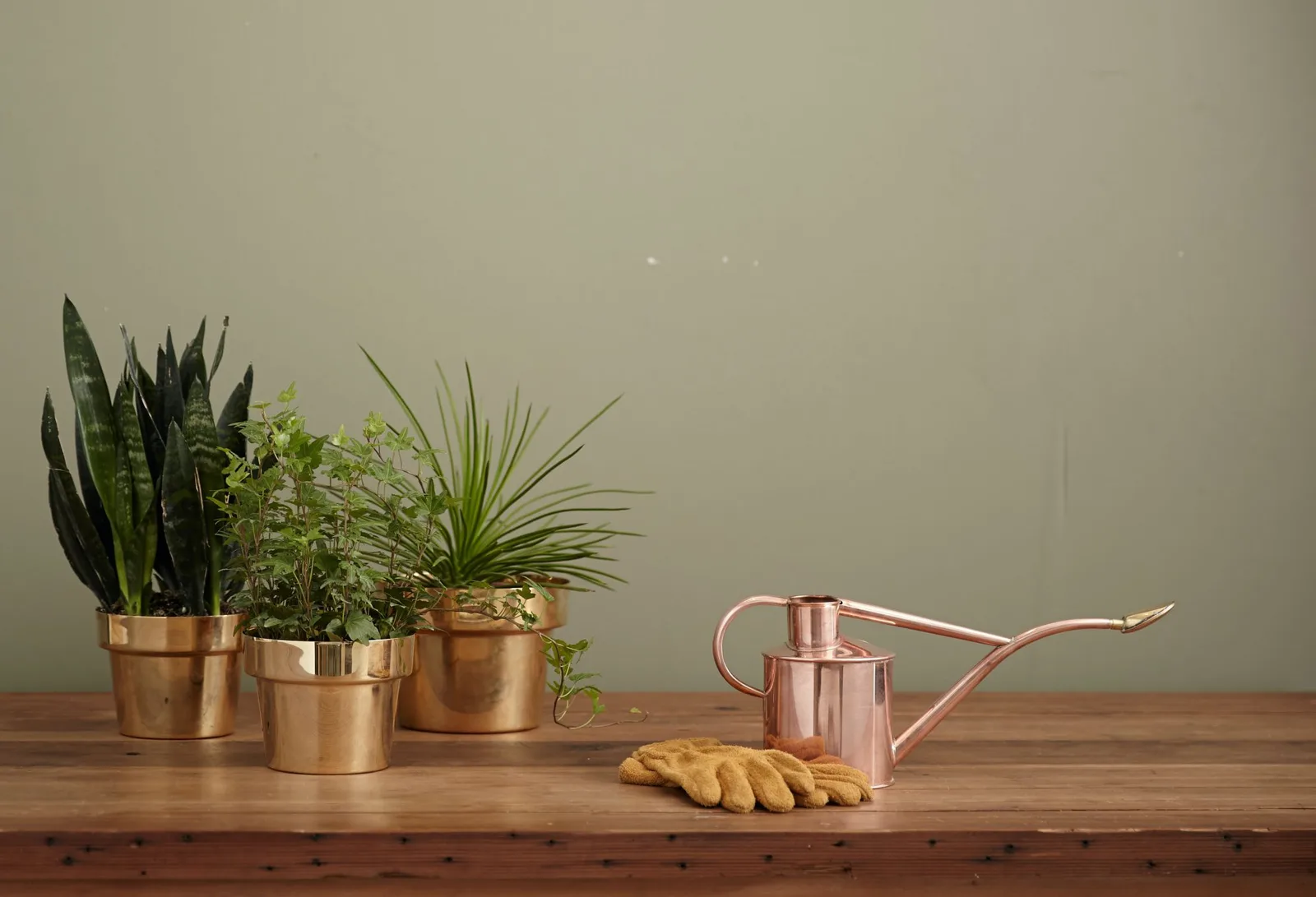 Branding organiczny — materiały projektu
